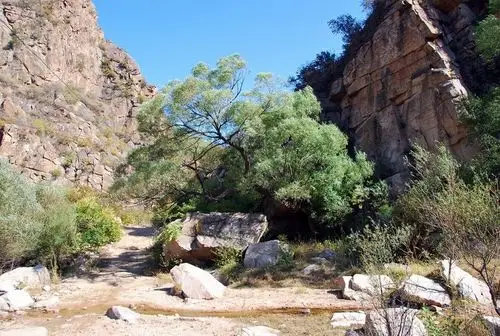 秋天的朝阳劈山沟