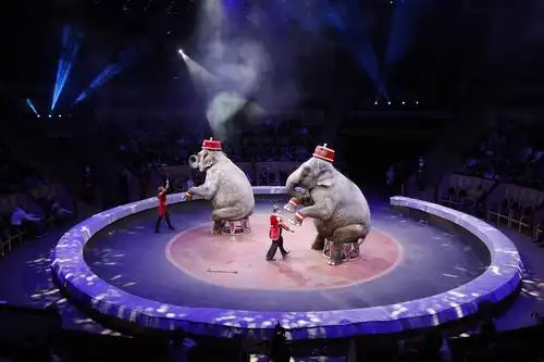 意大利托尼马戏团在圣彼得堡演出