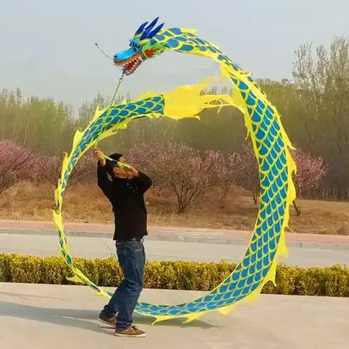 广场舞健身龙舞龙运动飞龙甩龙飘带彩带龙头单人舞龙甩龙龙布初学6米