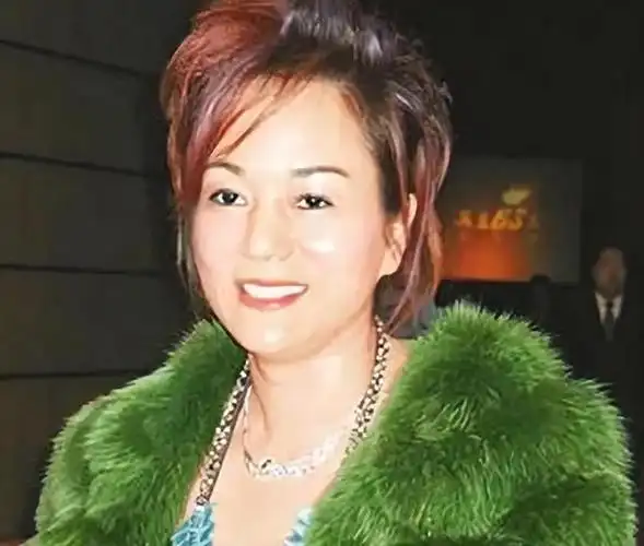 费翔|林子祥|林青霞|张曼玉|梅艳芳_网易订阅