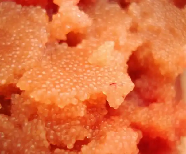 p>鳕鱼籽(cod roe):又名鳕鱼卵,是对大西洋鳕,太平洋鳕及狭鳕等鳕鱼