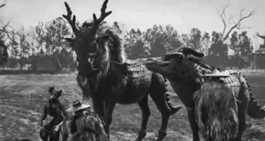 麒麟真的存在吗当初那张轰动一时的黑白麒麟照到底怎么来的