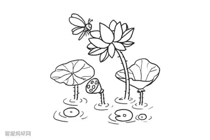 池塘荷花简笔画画法步骤