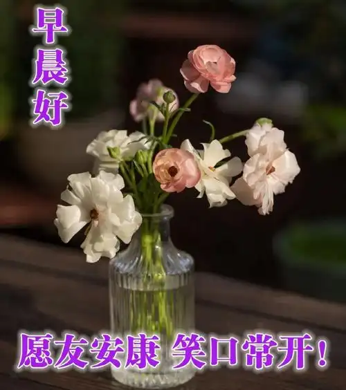 问候早上好精美图片合集清晨最美早安祝福暖心图片