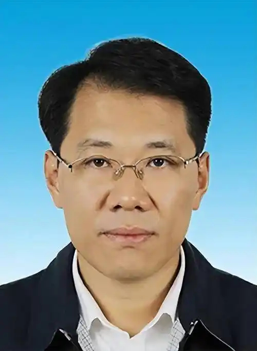 "75后"谢元任天津市副市长_溧水_工作_市人大常委会