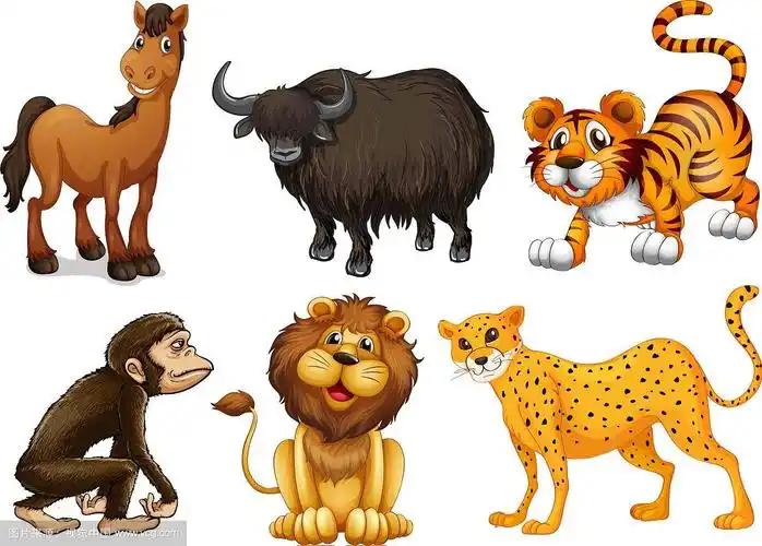 不同种类的四足动物