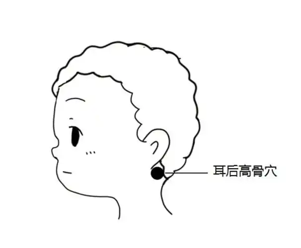 4.揉耳后高骨3.运太阳2.推坎宫1.