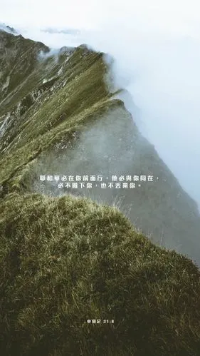 misan_072  2018年11月18日 6:23   关注  圣经 圣经金句 每日经文