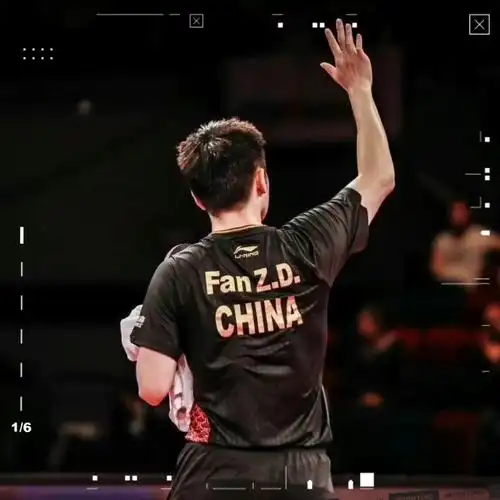 一些东东的背影超有安全感!樊振东小胖