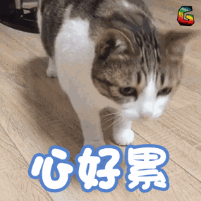 soogifsoogif出品心好累心累倒下晕倒gif动图_动态图_表情包下载_soo