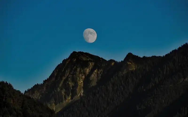 十五的月亮圆又圆