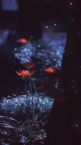 忘川河畔,彼岸之花.情不为因果,缘注定生死.