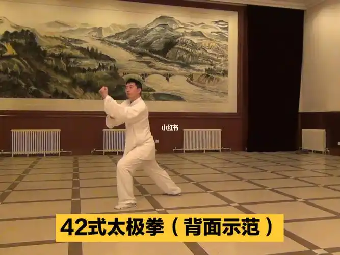 跟练42式太极拳背面示范