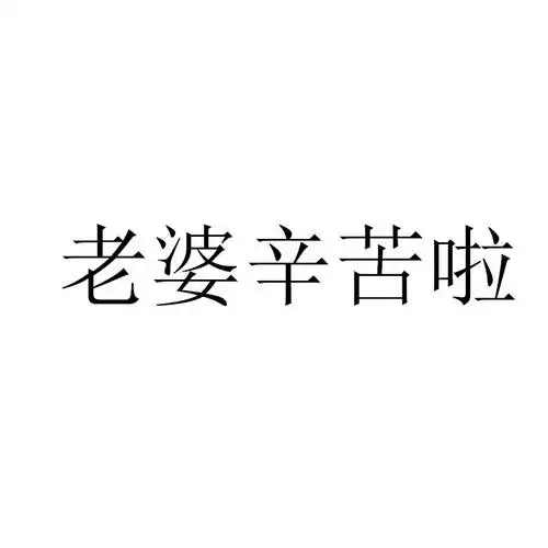 老婆辛苦啦 商标公告