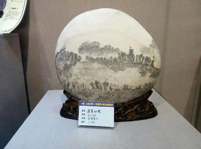 中国石家庄奇石展(金奖)