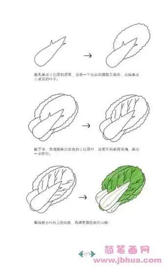 简笔画一盆清炒大白菜