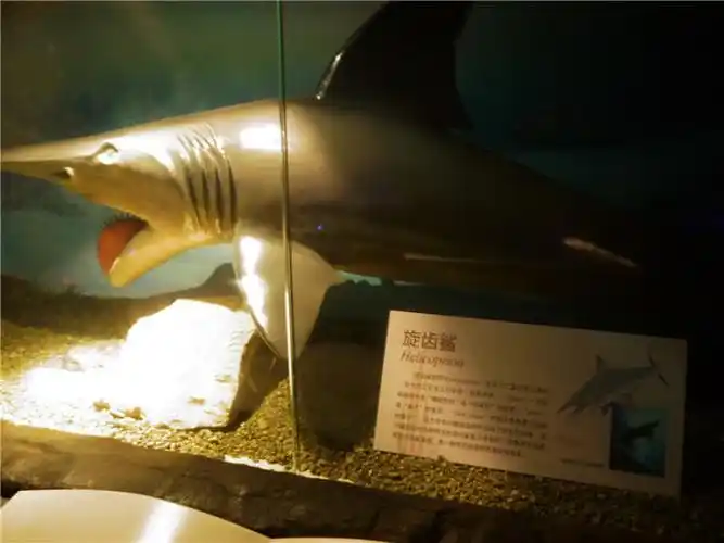 20142526浙苏皖自驾行之湖州博物馆淡水鱼博物馆太湖