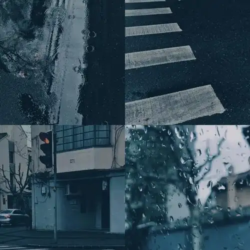 "每座城市都会下雨 有的人等伞 有的人等雨停"