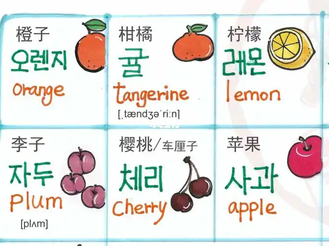 分类韩语英语单词原创手绘水果篇1