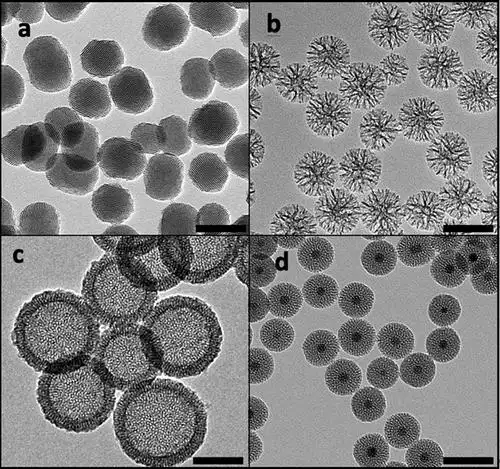 jacs综述磁超声波和光刺激的介孔二氧化硅纳米载体的诊疗应用
