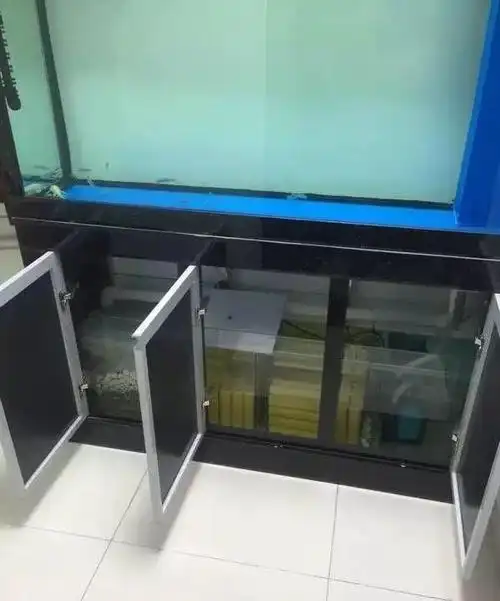 2米的底滤鱼缸,内有血鹦鹉14条,小森大概是1个月换一张过滤棉,在一年