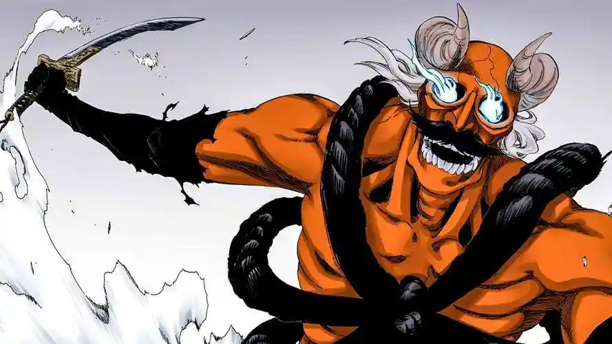 在千年血战中,狛村左阵通过使用"人化之术"献祭自己的心脏,使用了卍解