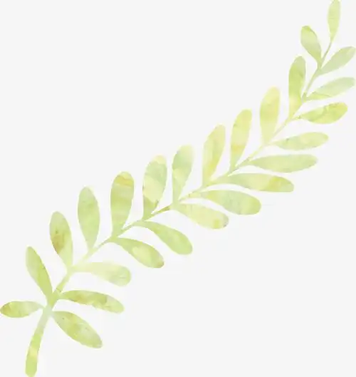 关键词 : 手绘画,树叶,叶子,矢量,矢量图,装饰,矢量装饰