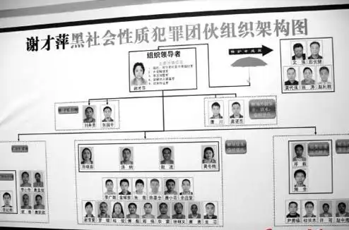 第一条:"黑社会性质的组织",一般应具备以下特征: 1)组织结构比较紧密