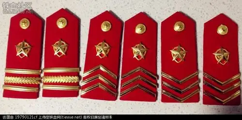 看图:哪个是武警现在使用的07纠察肩章?