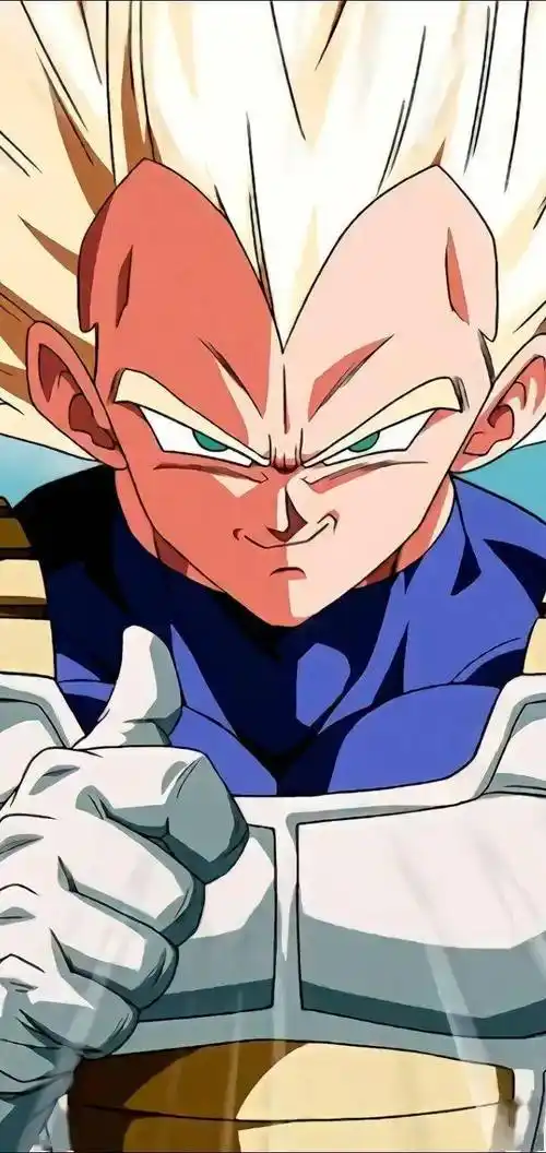 七龙珠壁纸贝吉塔王子