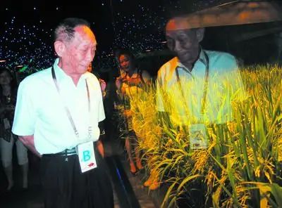 为伴的"爱子"——超级杂交稻在温室里生长,袁隆平觉得既亲切又新奇