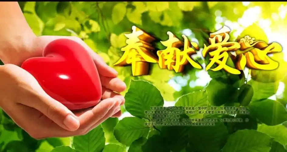 其它 《奉献爱心》,——三九班手抄报六 写美篇爱之花开放的地方,生命