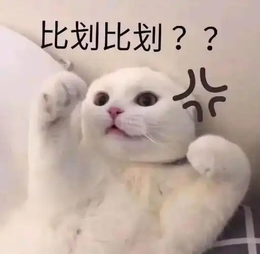 比划比划-.jpg的表情包--逗比拯救世界