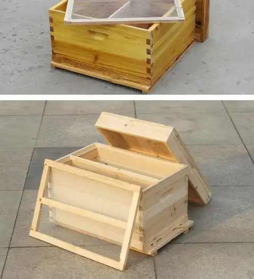 新款蜂之家蜂箱全套蜜蜂箱批发杉木诱蜂箱蜂蜜大箱小型平箱养蜂专用