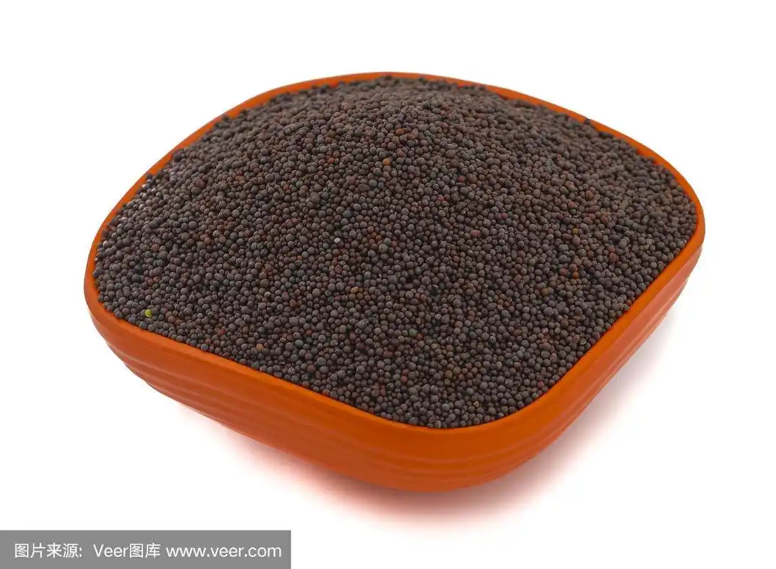 新鲜健康的芥菜籽