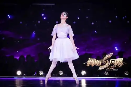 舞影图集湖南卫视舞蹈风暴2金郭龙飞许靖昆花季