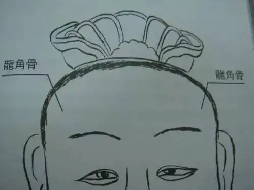 这块骨头也就是前额骨,假如前额大,但并不突兀,而且呈现出圆润不凹陷