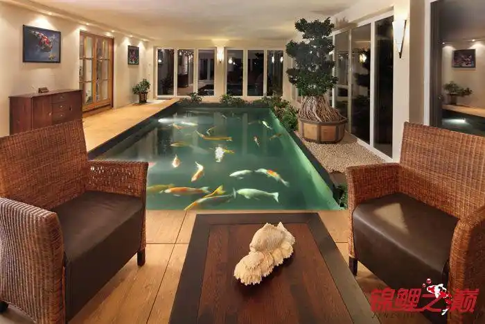 超豪华室内鱼池 - 鱼缸鱼池 - 龙巅锦鲤鱼