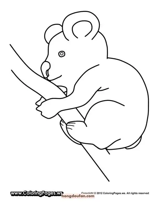 12张有趣的考拉简笔画填色图片大全