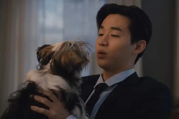 电影《一条狗的使命2》剧照