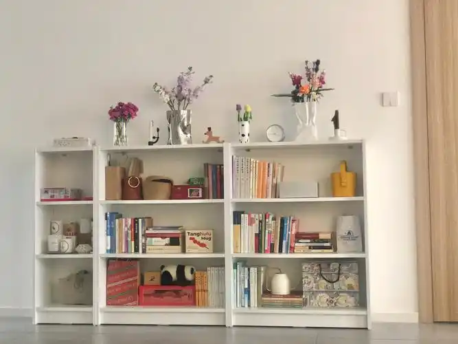 神仙书柜宜家毕利书架