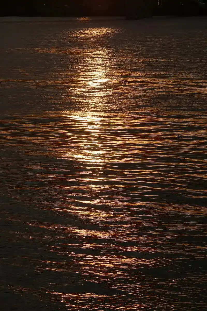 当看到落日.傍晚时分,坐在屋檐下,看着天慢慢地黑下去,心里寂 - 抖音