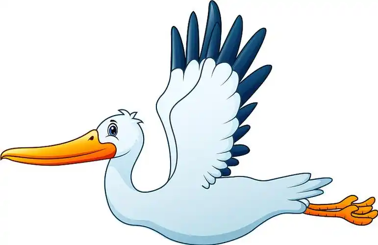 卡通白鹳飞翔图片