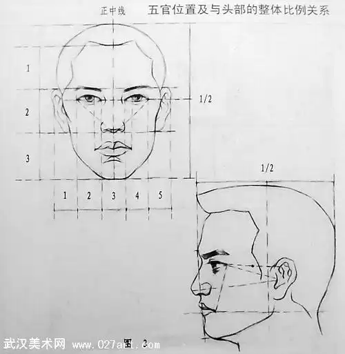 素描头像写生要领 头部解剖结构的关系 - 武威美术教育 - 曦艺美术