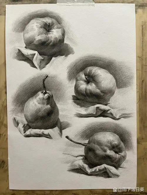 素描苹果 梨