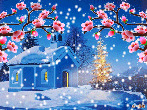 480_360gif 动态图 动图