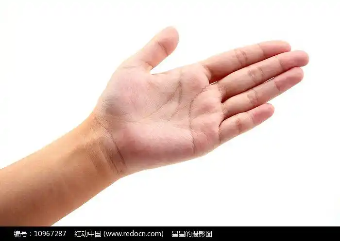 左手掌图片
