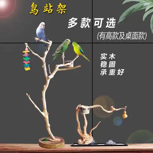 鸟站架 鹦鹉站杆 训鸟架 玄风站架树根 大中小型 鸟架杆训架 实木