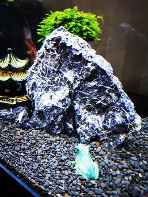 鱼缸造景黑工砂铁胆沙黑色石子溪流原生南美缸孔雀鱼鳌虾乌龟底砂 铁