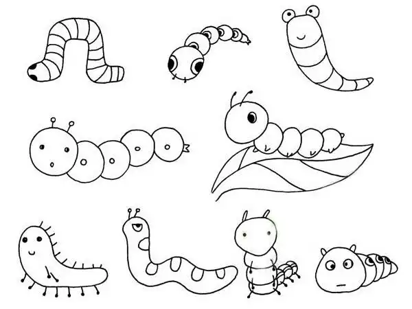 毛毛虫简笔画步骤图解教程及图片大全